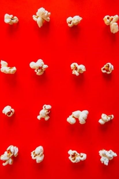 whirley pop popcorn popper instructions