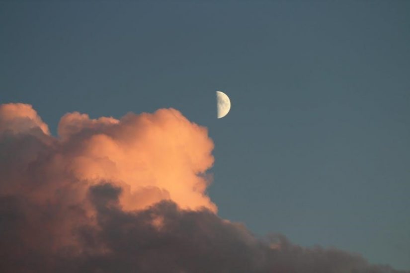 i am the luna pdf