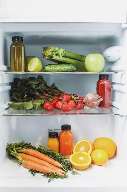 bosch fridge manual