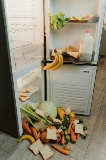 bosch fridge manual